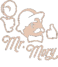 Mister Mory Logo